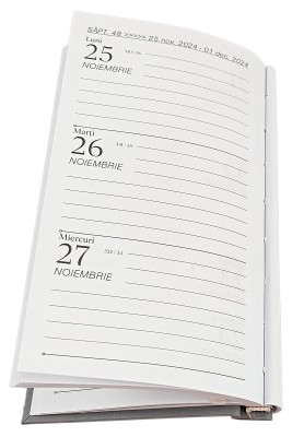 Agenda de buzunar, datata 2024, format 9,5 x 16,5 cm, cu 120 pagini,  coperta de culoare gri deschis, bloc cusut. Poza 2886