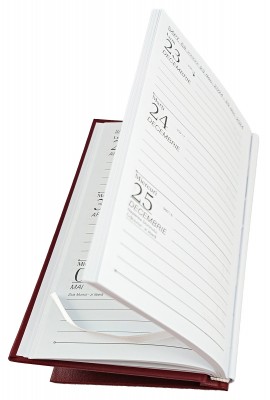 Agenda de buzunar, datata 2024, format 9,5 x 16,5 cm, cu 120 pagini,  coperta visinie, bloc cusut. Poza 3002